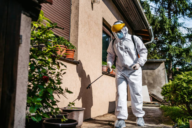 Best Residential Pest Control  in Muscle Shos, AL