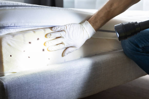Professional Pest Control in Muscle Shoals, AL