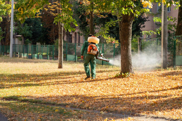 Best Local Pest Control Services  in Muscle Shos, AL