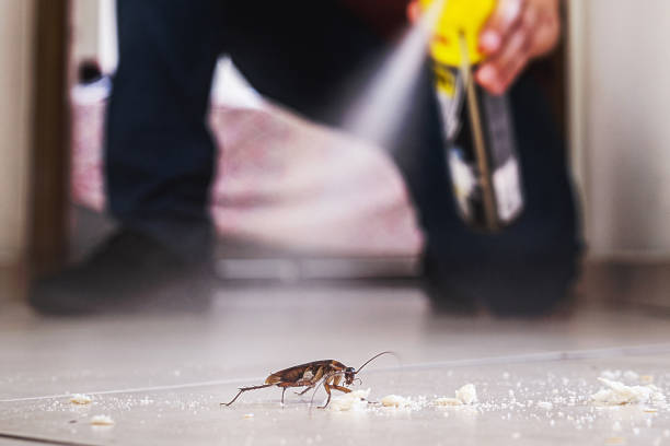 Best Pest Prevention Services  in Muscle Shos, AL