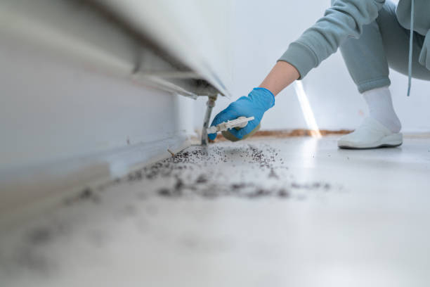 Best Cockroach Control Services  in Muscle Shos, AL
