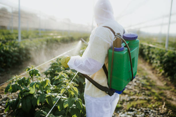 Best Mosquito Control Services  in Muscle Shos, AL